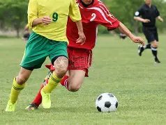 維克托獨攜,三冠,星光閃耀舞,广州赛马场,广州赛马,赛马活动,马术资讯